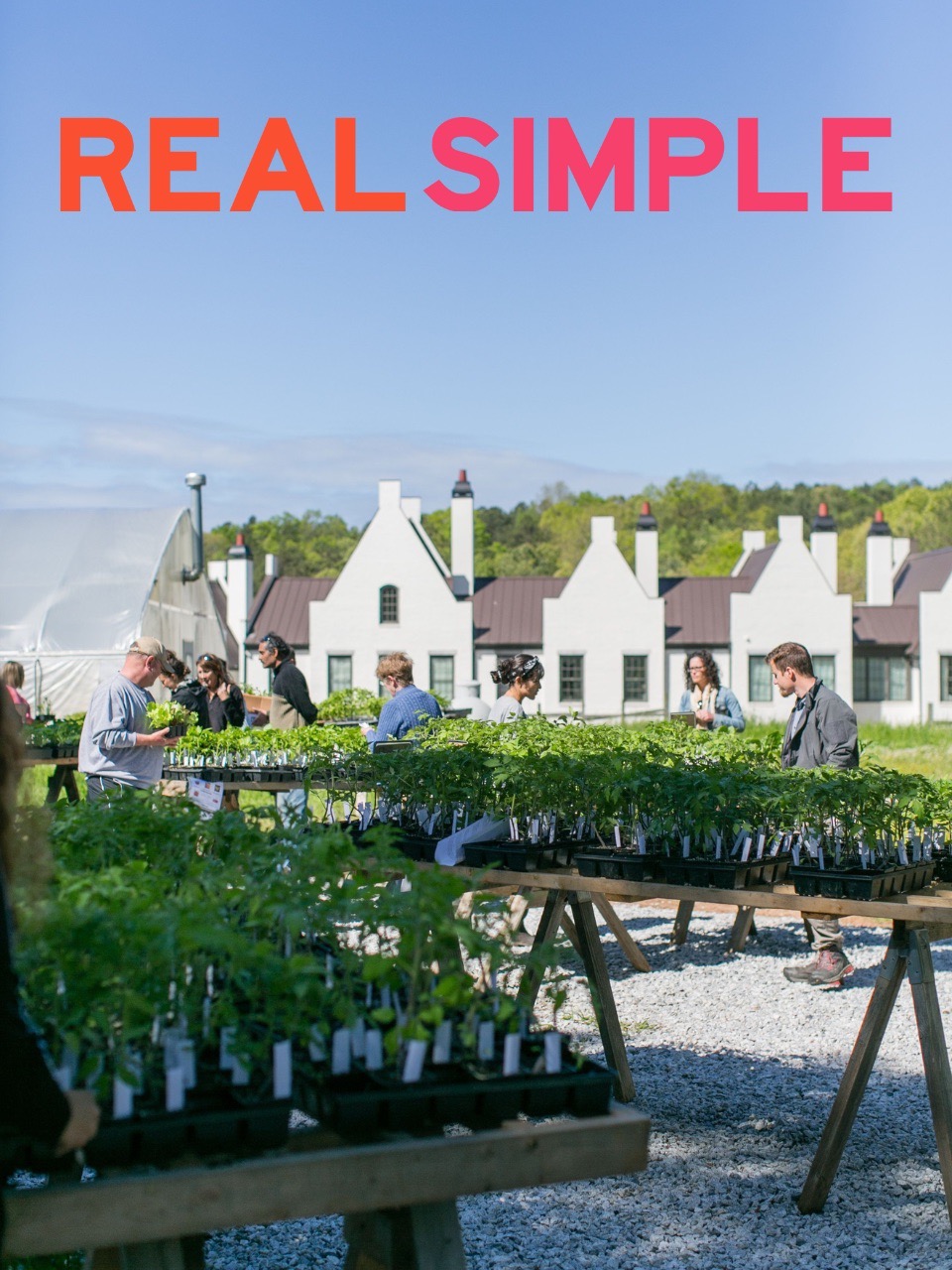 Serenbe Press and Awards 8 Best Plants for Your Bedroom to Help You Sleep Better